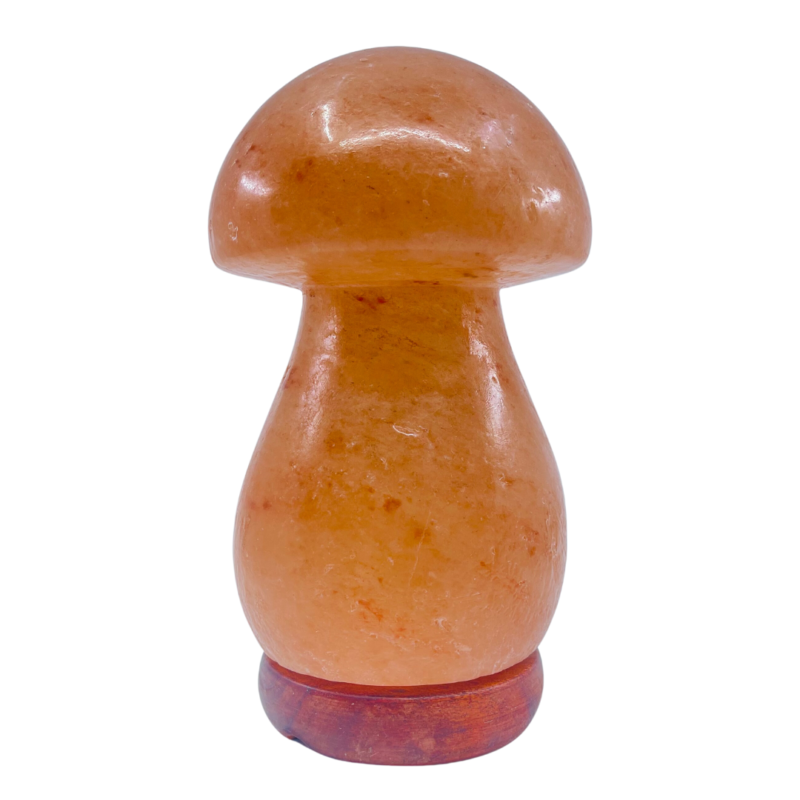 himalayan salt lamp mushroom