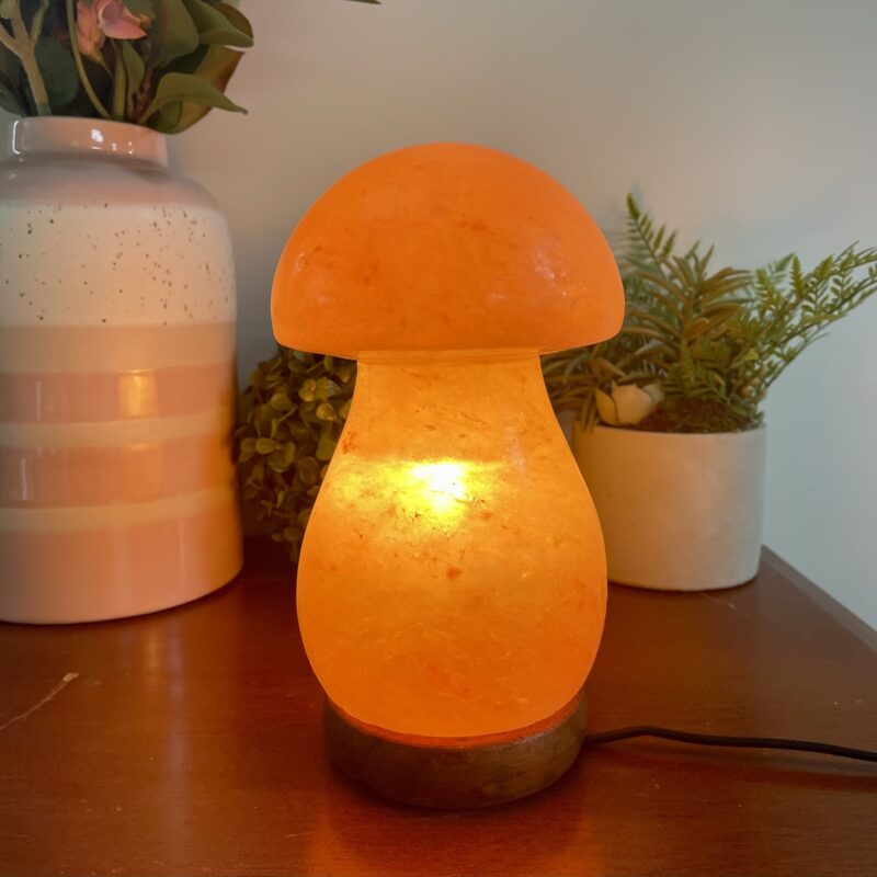 himalayan salt lamp mushroom